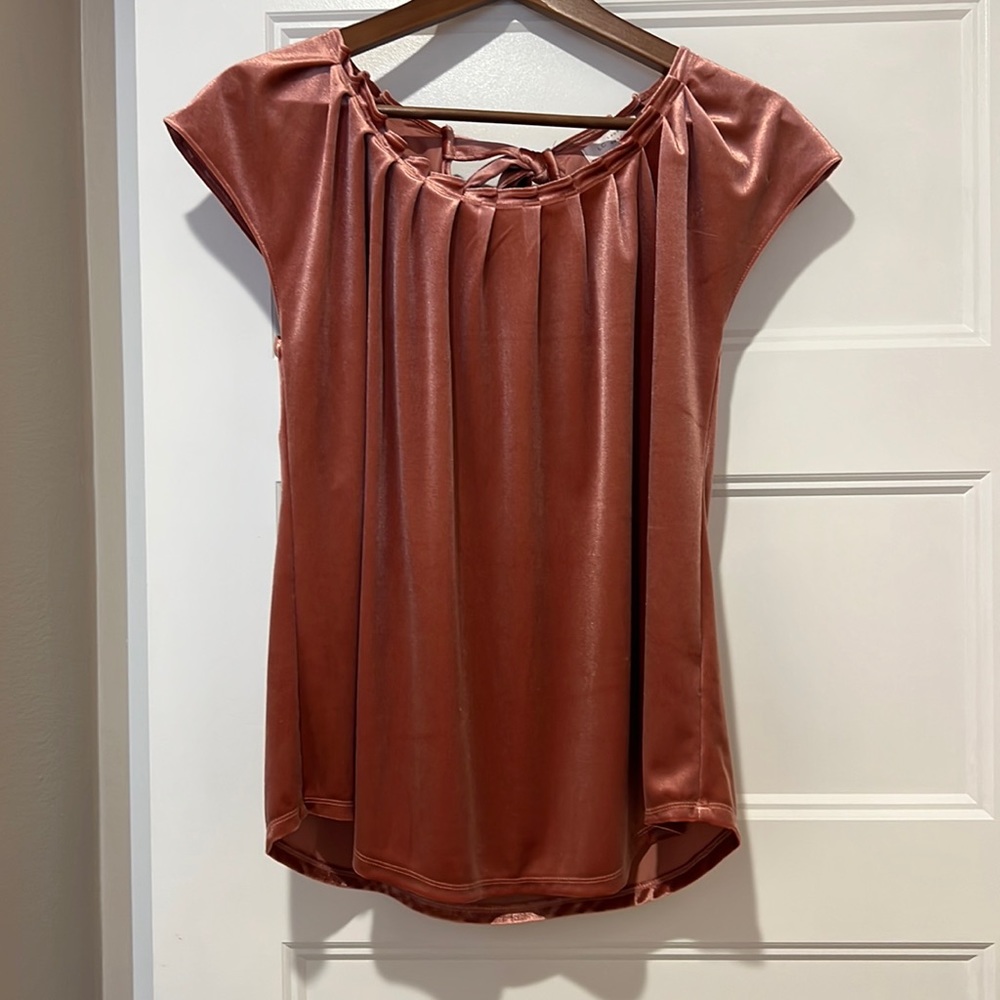 Luxurious soft Pink Velvet Top Lauren Conrad Size Small